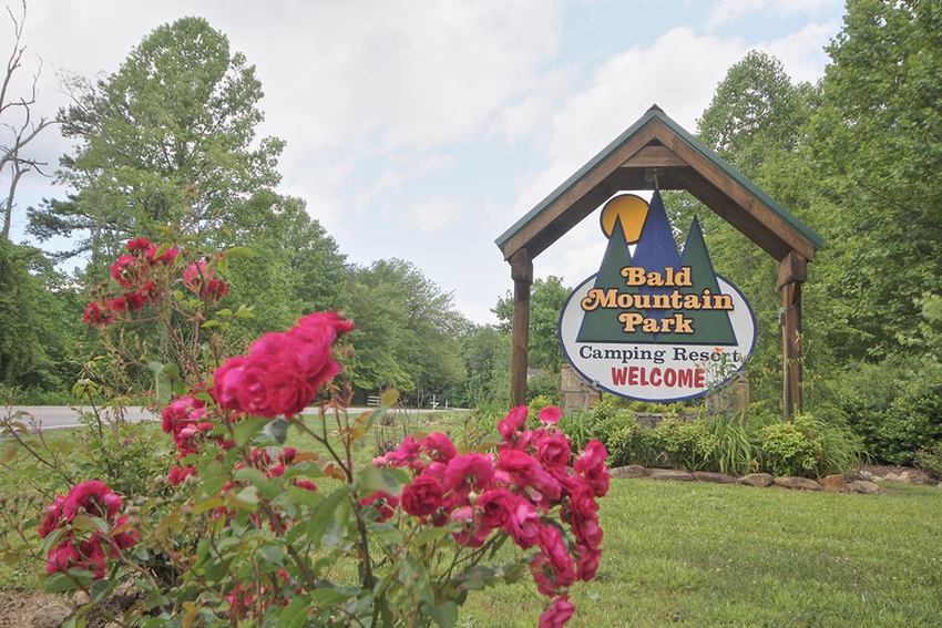 Bald Mountain Camping Resort