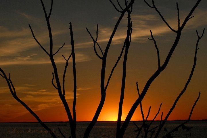Bay Shore Campground