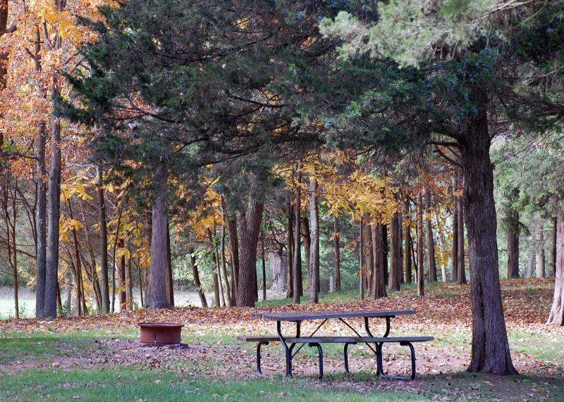 Cedar Lake Campground