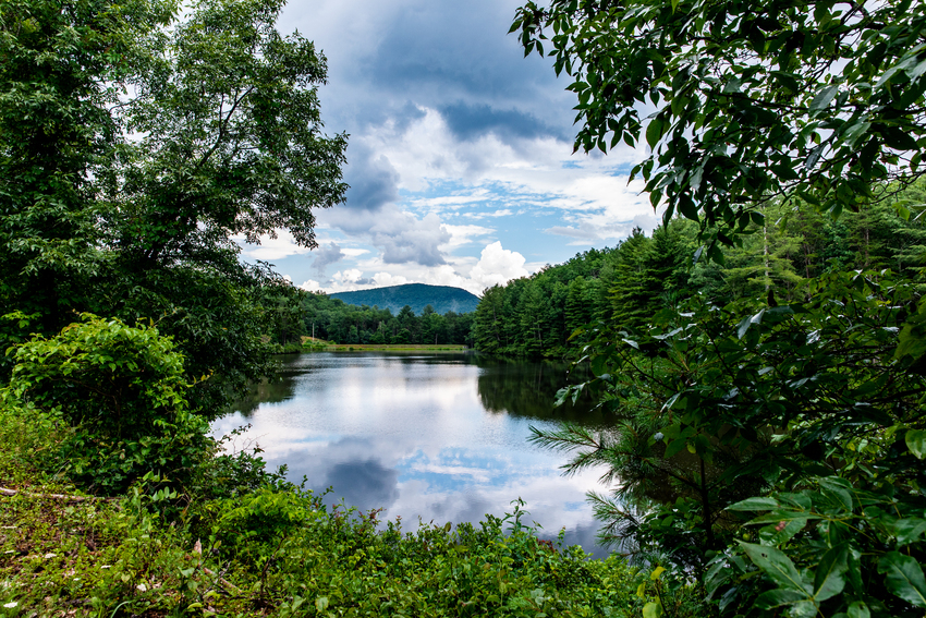 Cold Sulphur Springs Campground