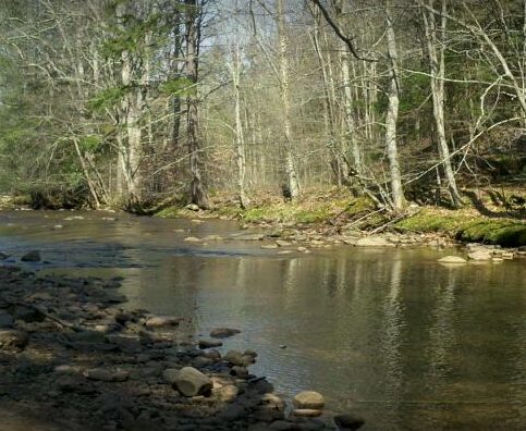 Day Run Campground