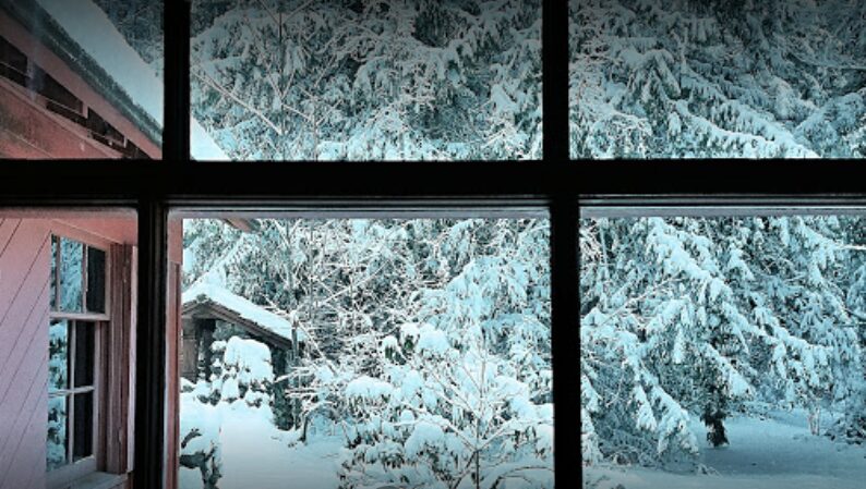 Hamma Hamma Cabin