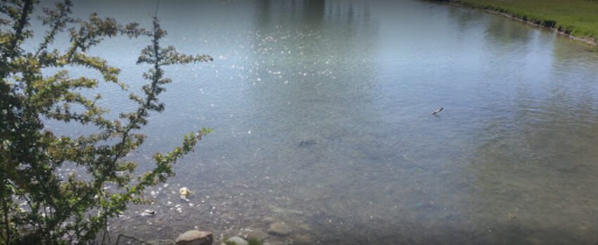 Harry Mcadams Campground