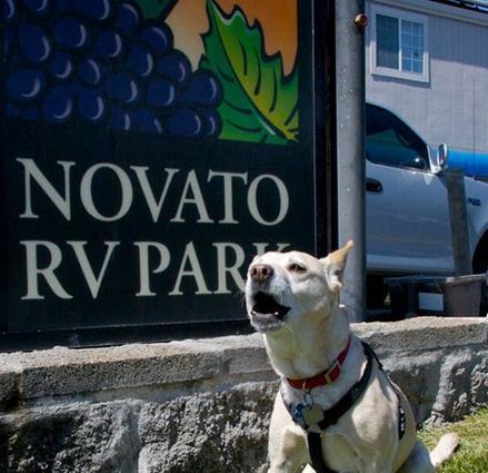 Novato RV Park