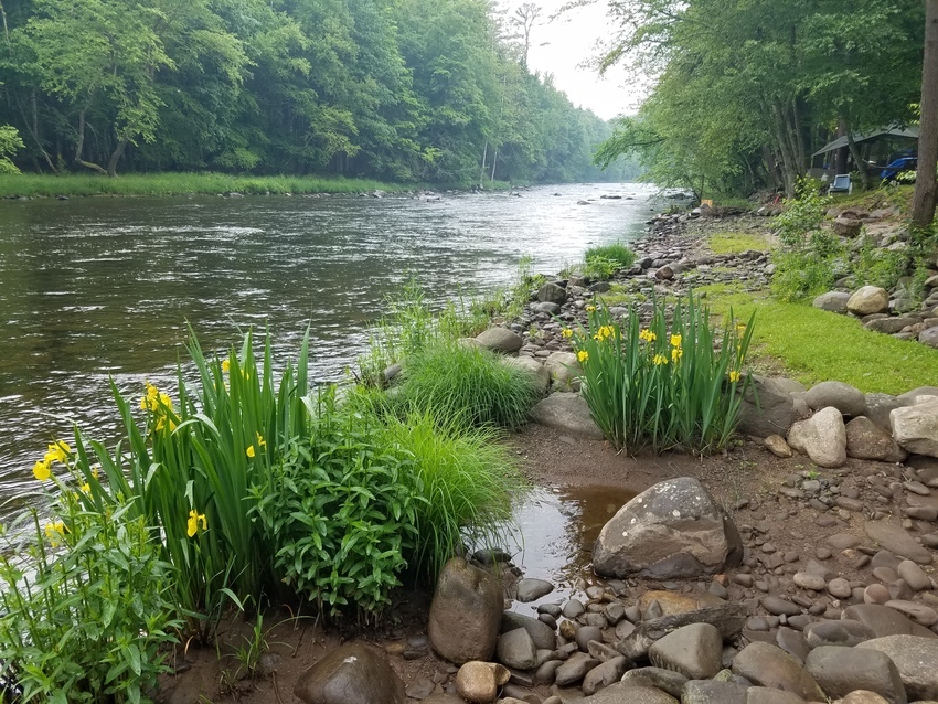 Oakland Valley Campground