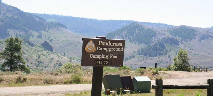Ponderosa Campground