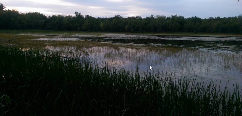 River Run Canoe & Campground