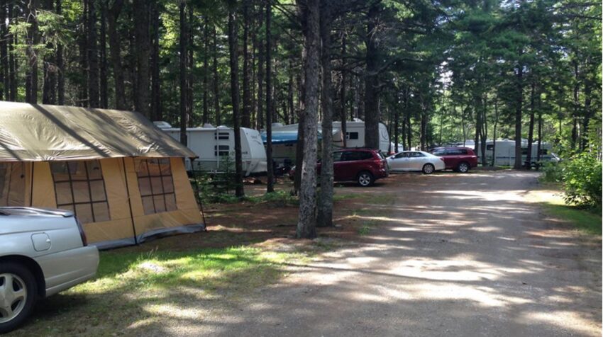 Sherwood Forest Campsite