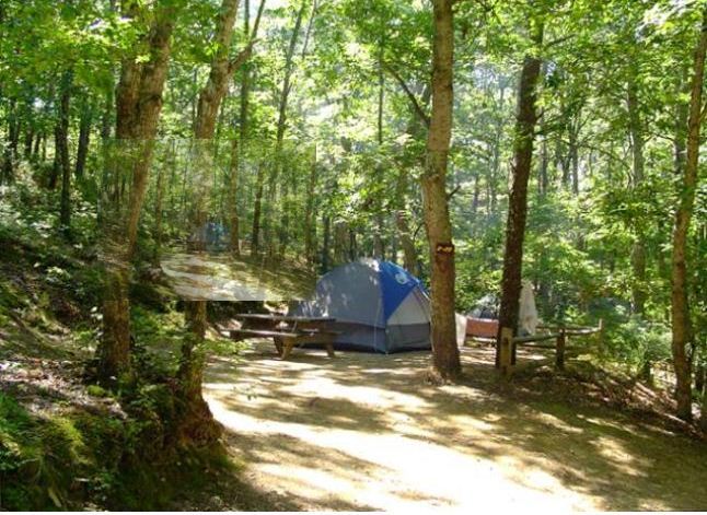 Sweetwater Forest Camping Resort
