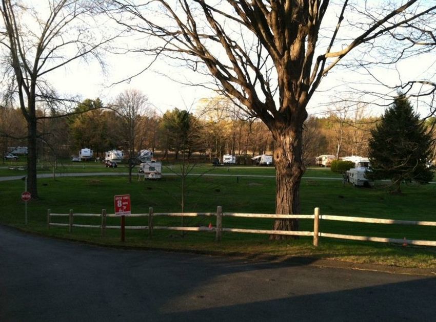 Travelers Woods
